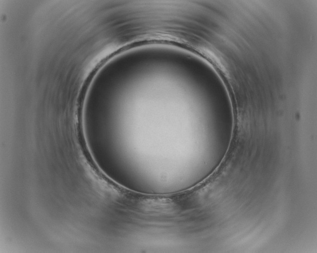 X0000089891133200706281408
