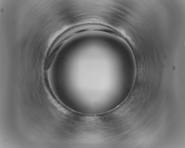 X0000089891134200706281408