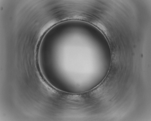 X0000089891135200706281408