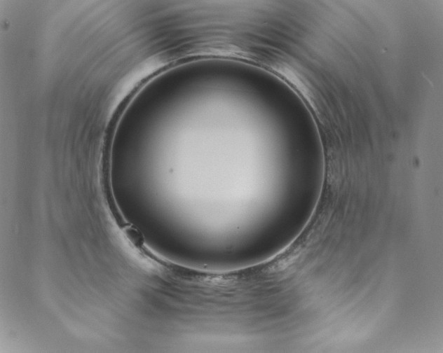 X0000089891139200706281408