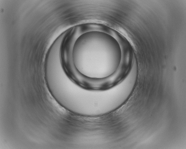 X0000089891140200706281408