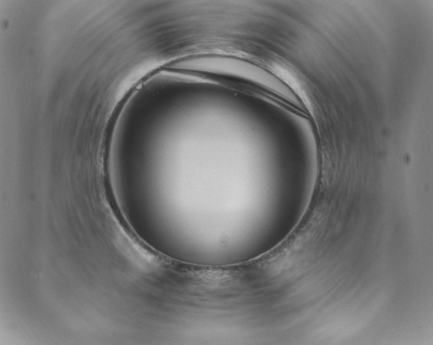 X0000089891141200706281408