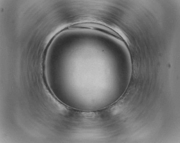 X0000089891142200706281408