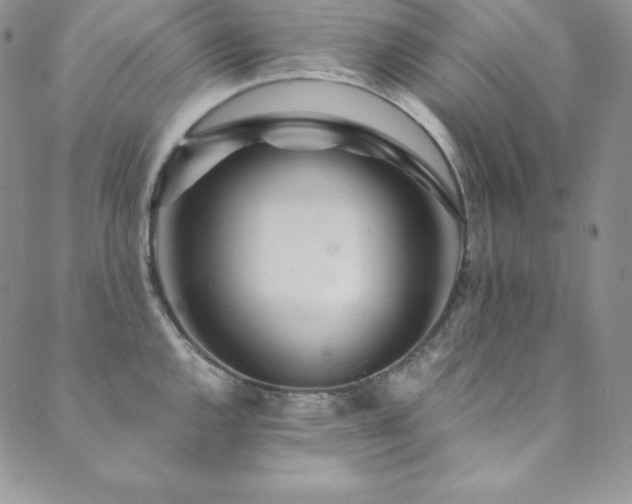 X0000089891144200706281408