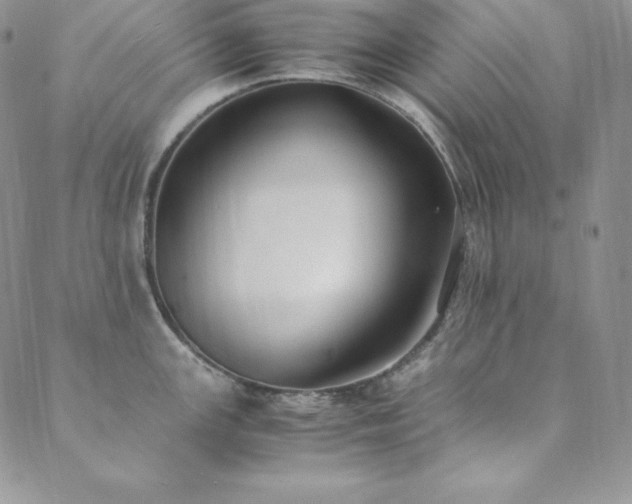 X0000089891147200706281408