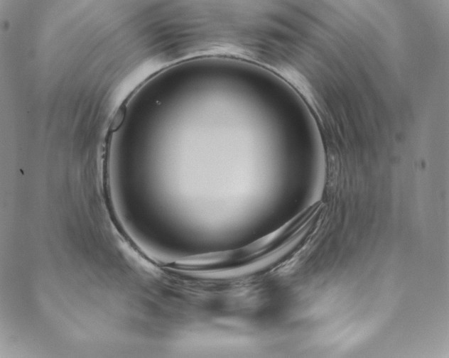 X0000089891151200706281408