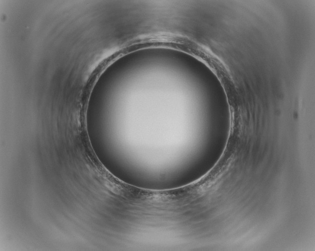 X0000089891166200706281407