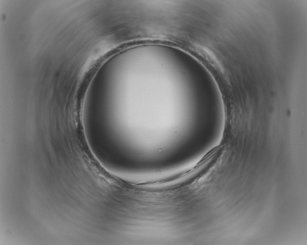 X0000089891172200706281407