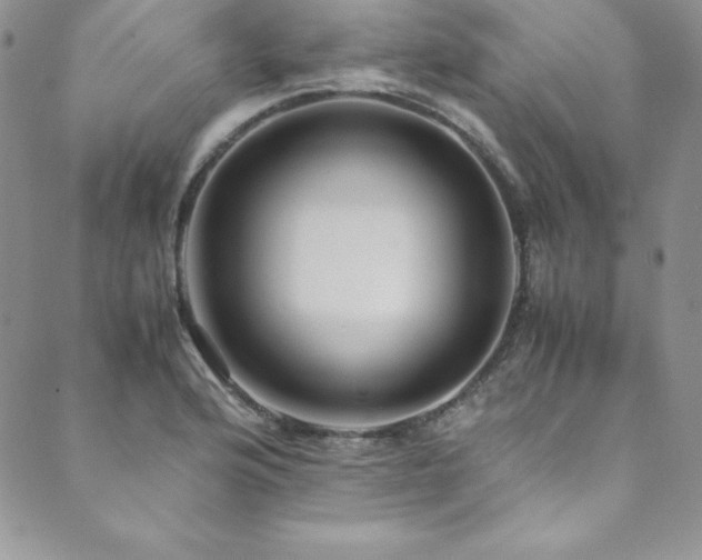 X0000089891176200706281407