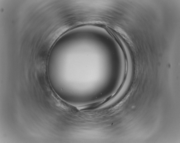 X0000089891177200706281407