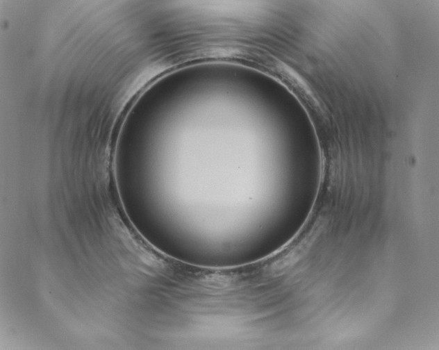X0000089891178200706281407