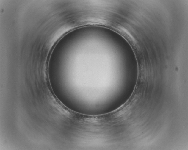X0000089891182200706281407