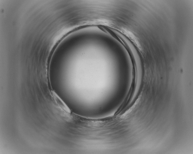 X0000089891184200706281407