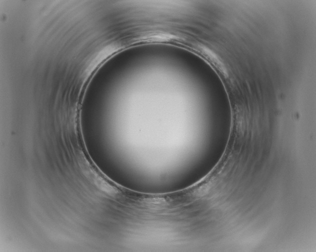 X0000089891186200706281407