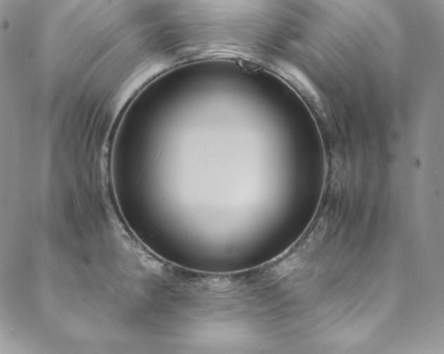 X0000089891190200706281407