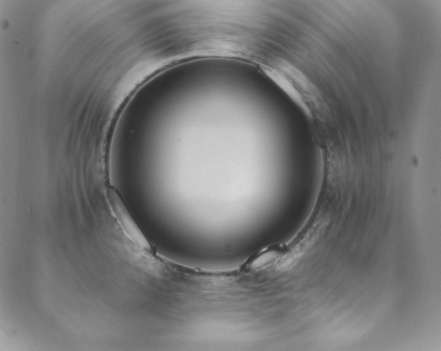 X0000089891192200706281407