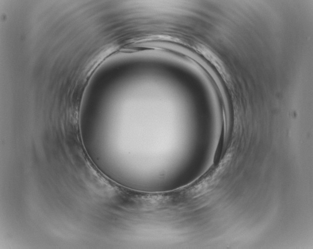 X0000089891193200706281407
