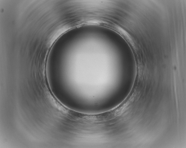 X0000089891194200706281407