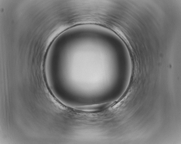 X0000089891197200706281407