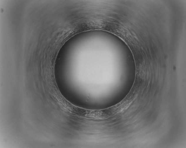 X0000089891201200706281406