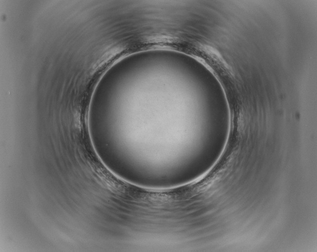 X0000089891209200706281406