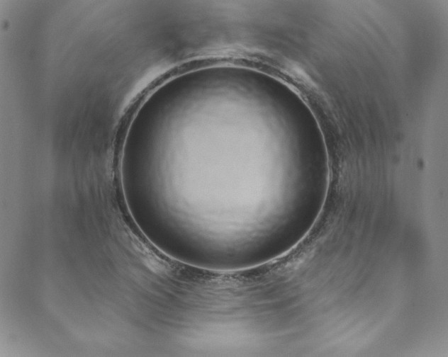 X0000089891216200706281406