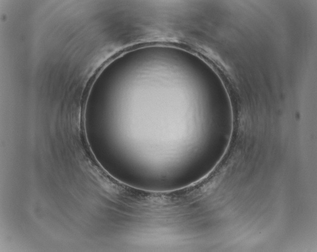 X0000089891220200706281406