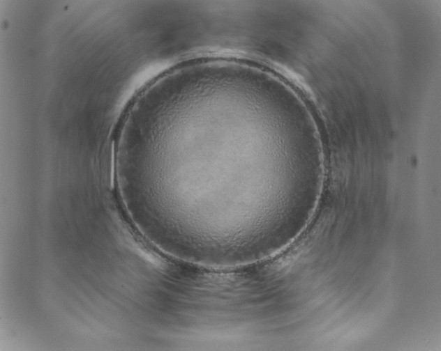 X0000089891223200706281406