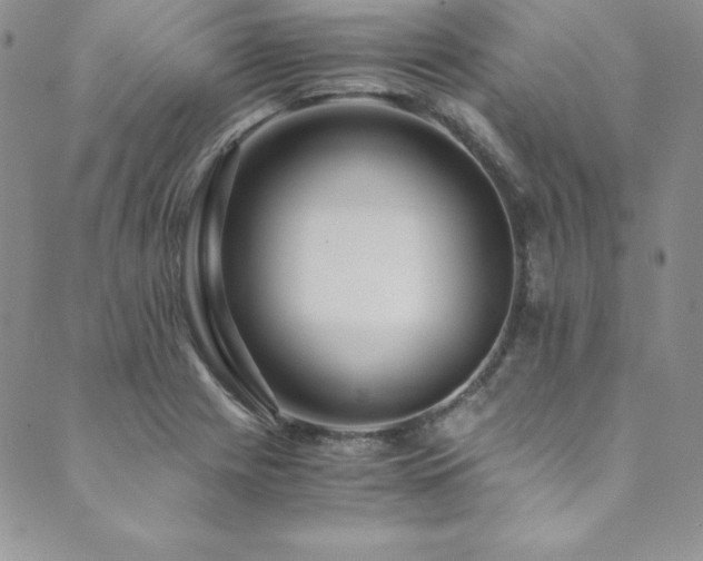 X0000089891225200706281406