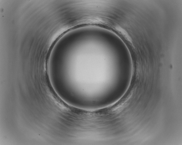 X0000089891226200706281406
