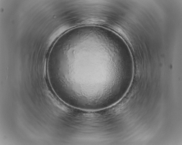 X0000089891227200706281406