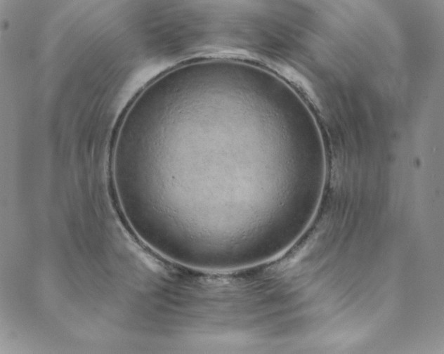 X0000089891231200706281406