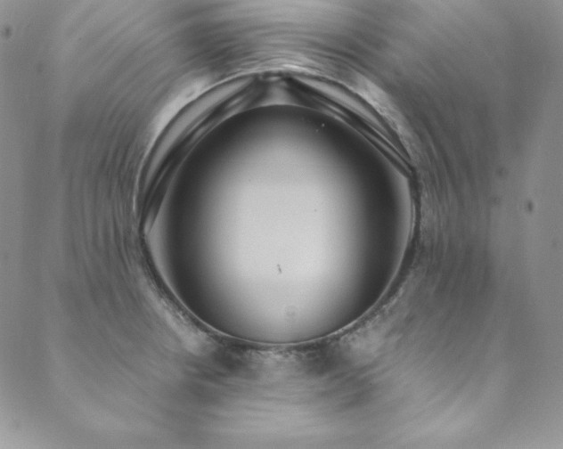X0000089891234200706281406