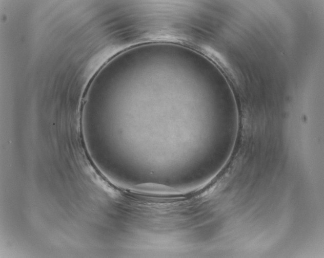 X0000089891236200706281406