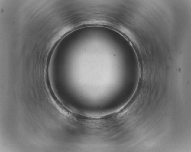 X0000089891237200706281406