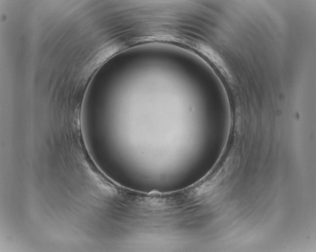 X0000089891241200706281406