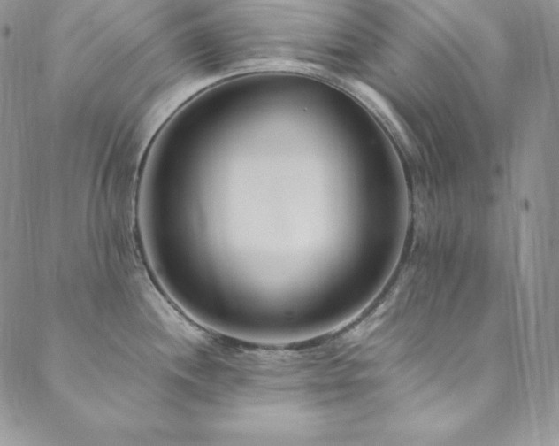 X0000089891244200706281407
