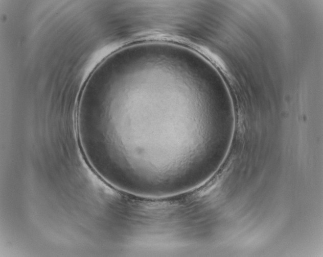 X0000089891247200706281407