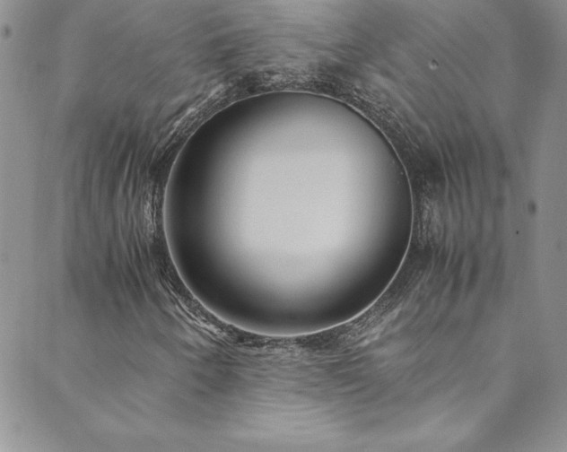 X0000089891250200706281406