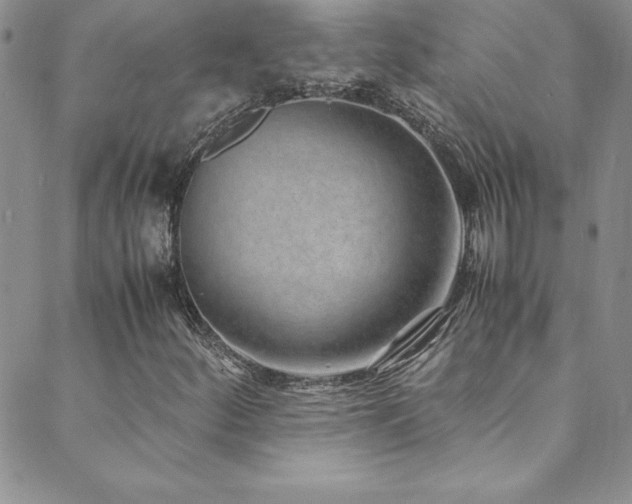 X0000089891252200706281406