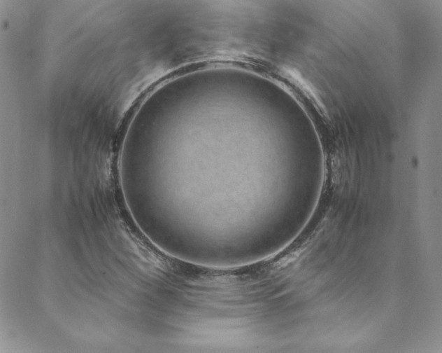 X0000089891260200706281406
