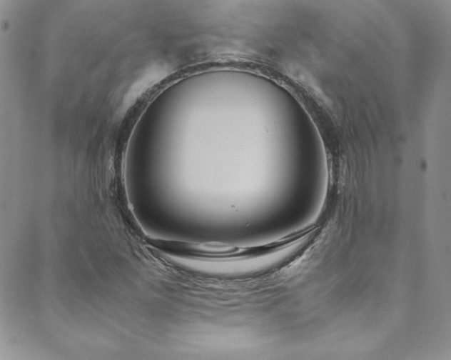 X0000089891261200706281406