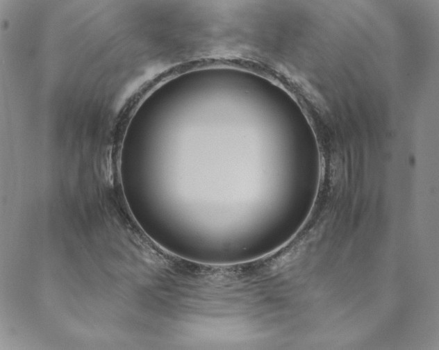 X0000089891262200706281406