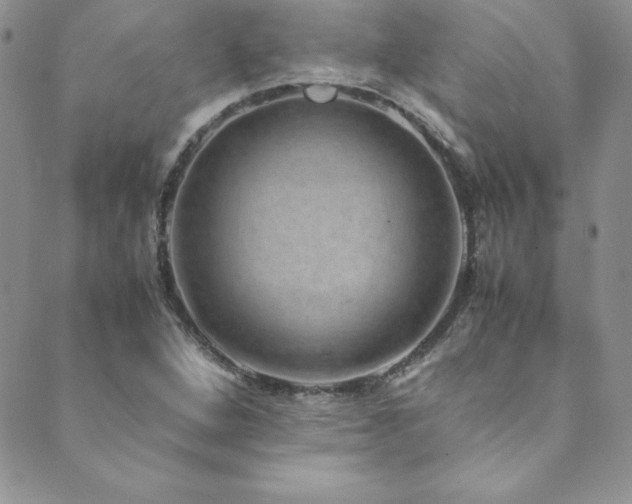 X0000089891264200706281406