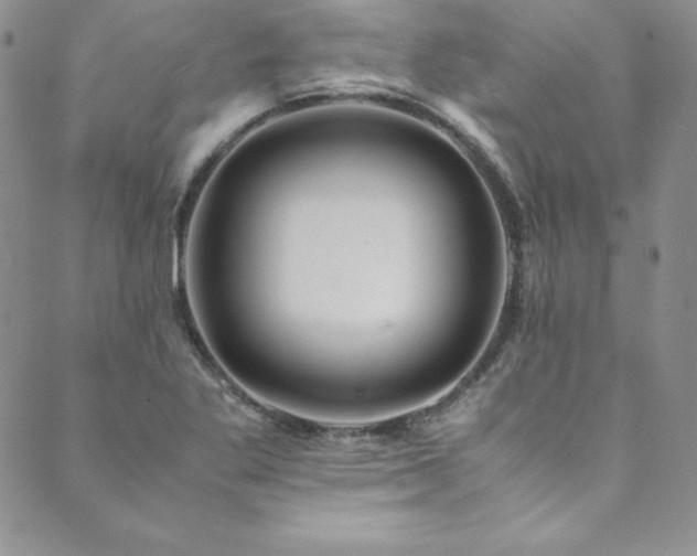 X0000089891269200706281405