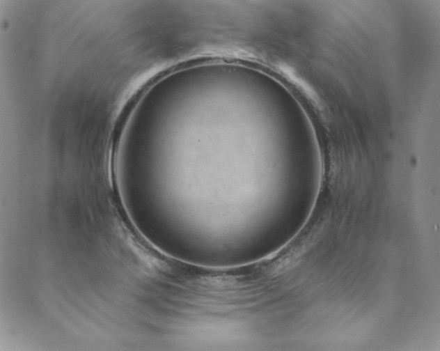 X0000089891272200706281405