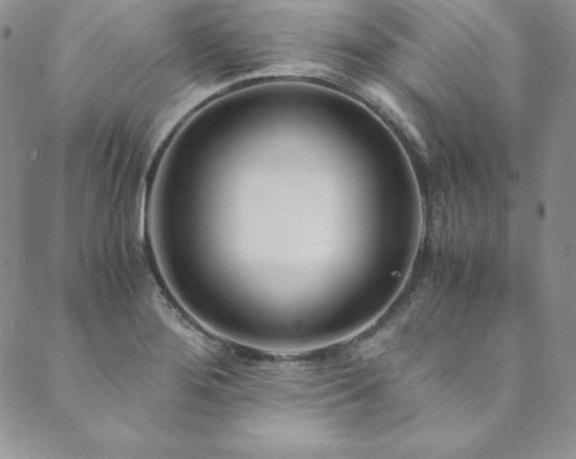 X0000089891276200706281405