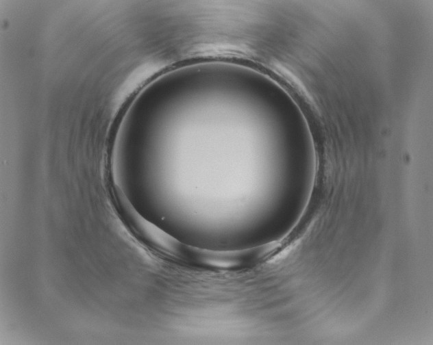 X0000089891277200706281405