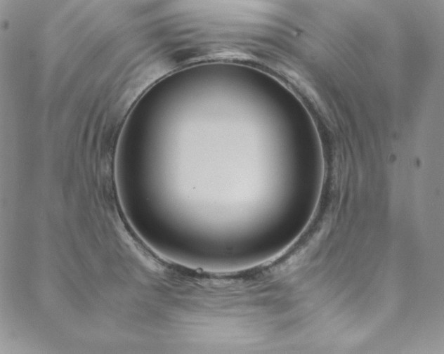 X0000089891281200706281405