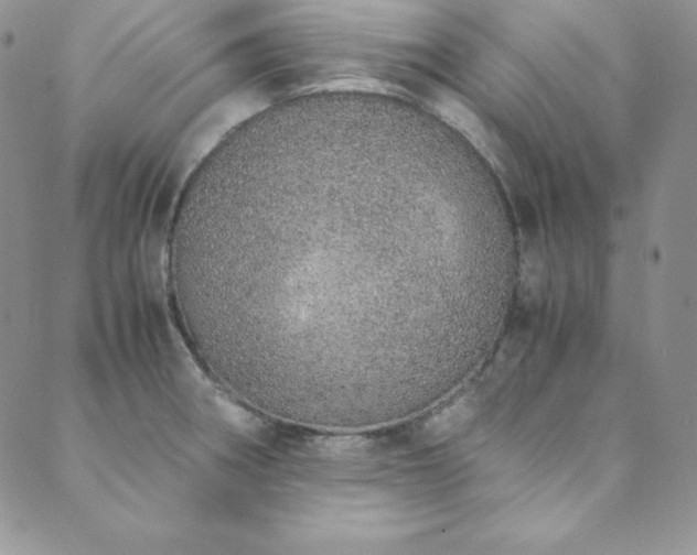 X0000089891282200706281405